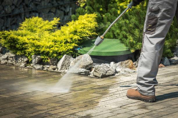 Best Concrete Sealing  in Beechwood, MS